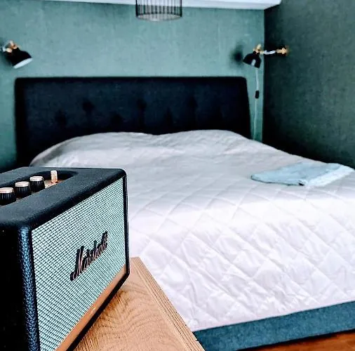 Apartment Premium Loft Im Szeneviertel, Wlan, Smart Tv, Parklplatz, Netflix Chemnitz